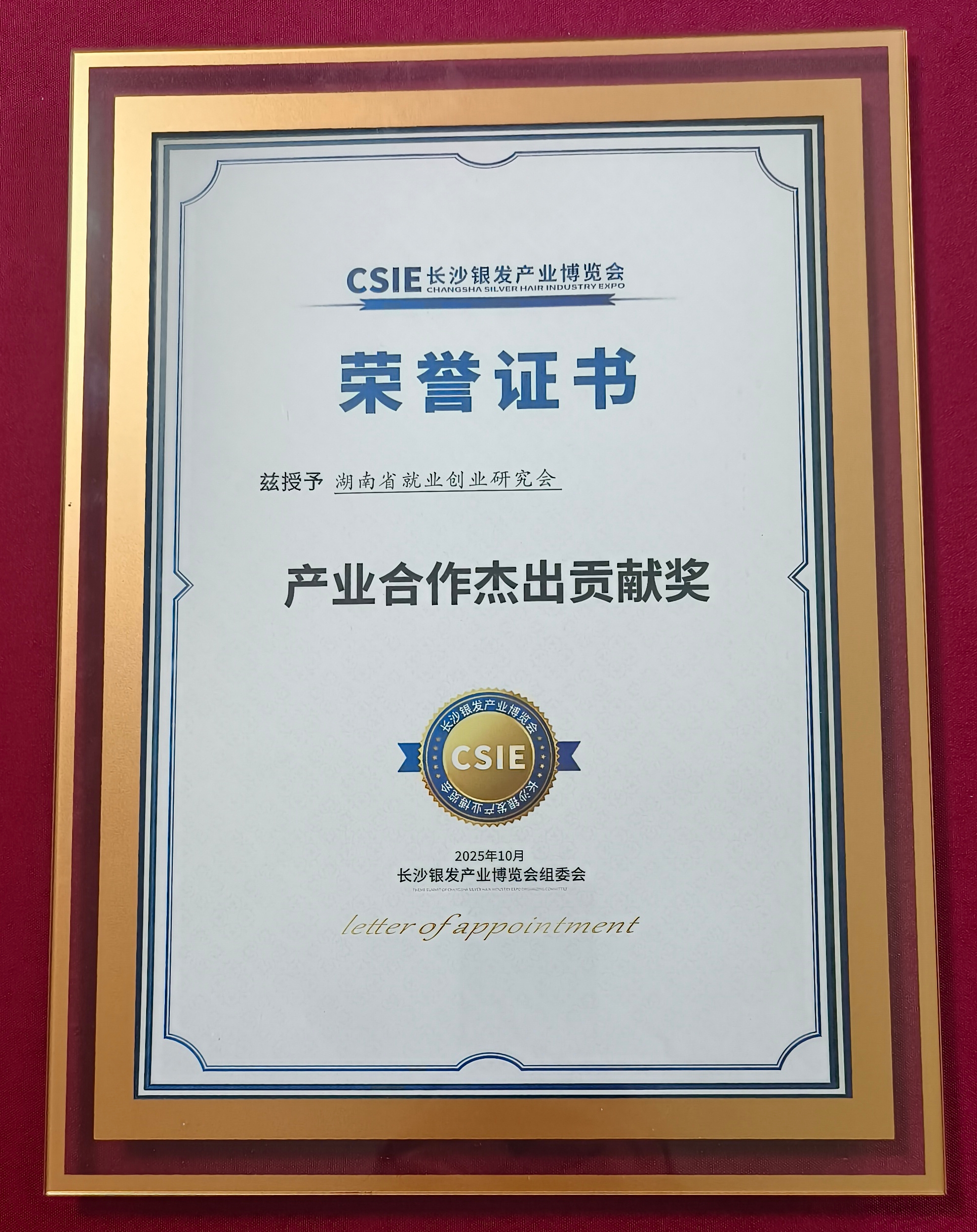长沙银发产业博览会组委会授予湖南省就业创业研究会“产业合作杰出贡献奖”。